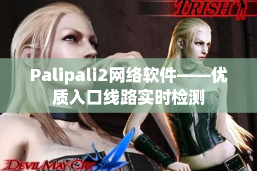 Palipali2网络软件——优质入口线路实时检测