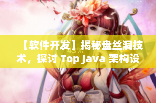 【软件开发】揭秘盘丝洞技术，探讨 Top Java 架构设计方案