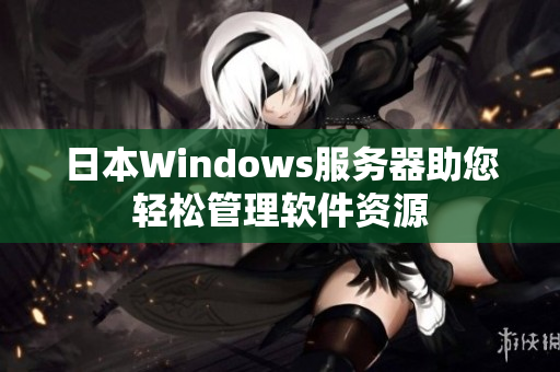 日本Windows服务器助您轻松管理软件资源