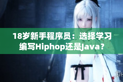 18岁新手程序员：选择学习编写Hiphop还是Java？