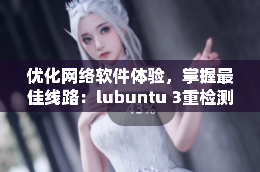 优化网络软件体验，掌握最佳线路：lubuntu 3重检测推荐