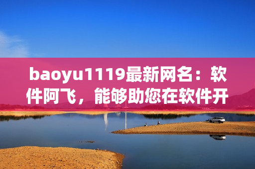 baoyu1119最新网名：软件阿飞，能够助您在软件开发道路上飞速前行！