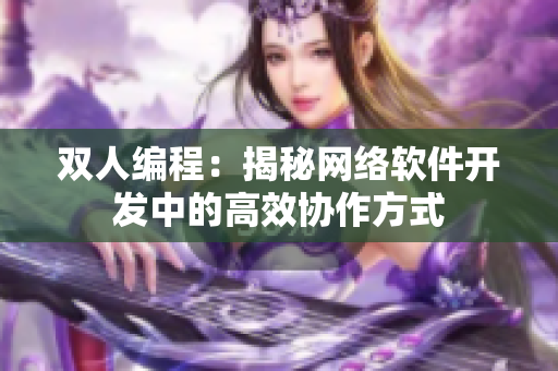 双人编程：揭秘网络软件开发中的高效协作方式