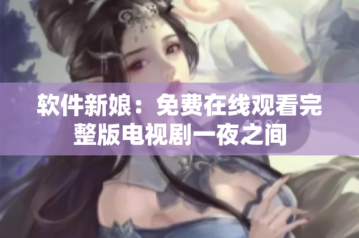 软件新娘：免费在线观看完整版电视剧一夜之间