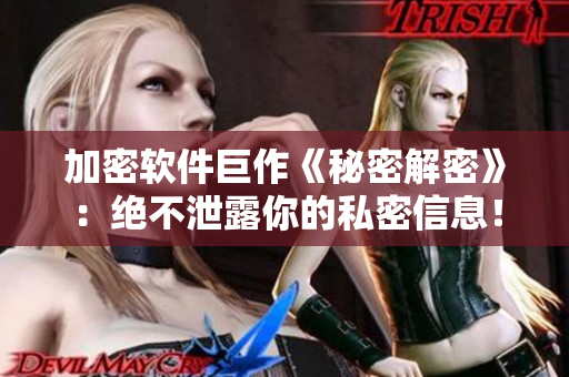 加密软件巨作《秘密解密》：绝不泄露你的私密信息！