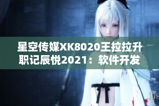 星空传媒XK8020王拉拉升职记辰悦2021：软件开发之路