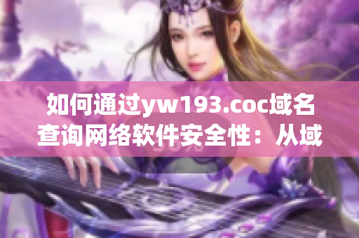 如何通过yw193.coc域名查询网络软件安全性：从域名入手，了解真实安全情况