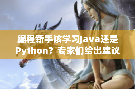 编程新手该学习Java还是Python？专家们给出建议