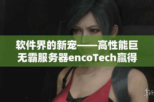 软件界的新宠——高性能巨无霸服务器encoTech赢得客户青睐