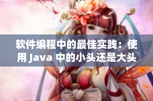 软件编程中的最佳实践：使用 Java 中的小头还是大头？