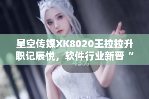 星空传媒XK8020王拉拉升职记辰悦，软件行业新晋“升级女王”
