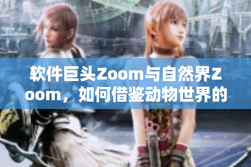 软件巨头Zoom与自然界Zoom，如何借鉴动物世界的智慧？