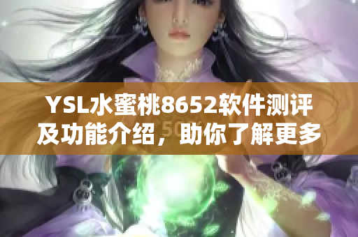 YSL水蜜桃8652软件测评及功能介绍，助你了解更多