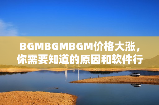 BGMBGMBGM价格大涨，你需要知道的原因和软件行业的影响