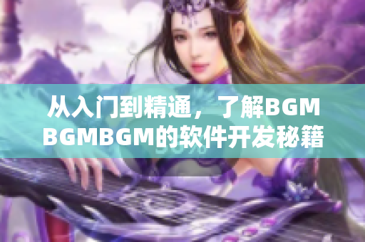 从入门到精通，了解BGMBGMBGM的软件开发秘籍及价格