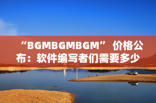 “BGMBGMBGM” 价格公布：软件编写者们需要多少？
