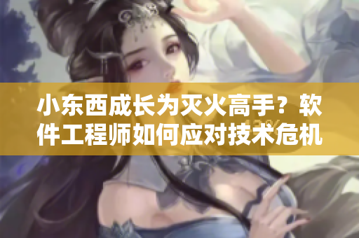 小东西成长为灭火高手？软件工程师如何应对技术危机？