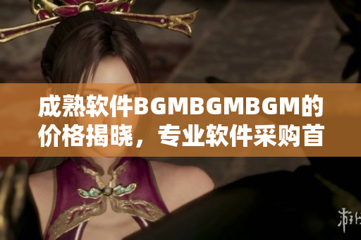 成熟软件BGMBGMBGM的价格揭晓，专业软件采购首选，功效备受认可